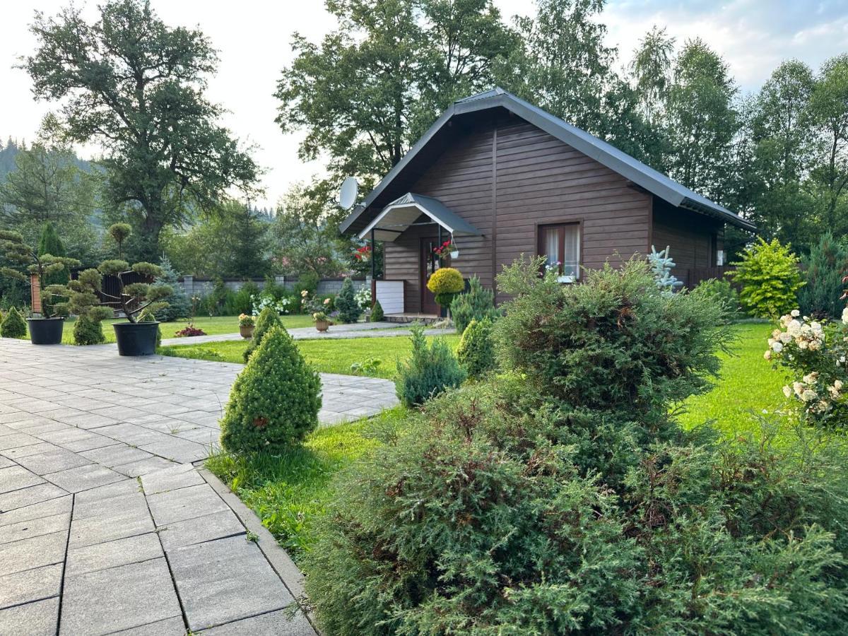 Краєвид Slavske Ngoại thất bức ảnh